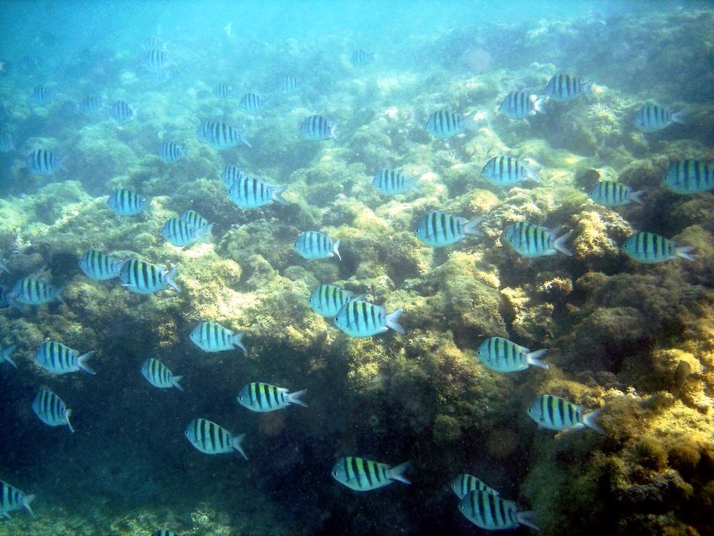 Pousada Sabrinna Maceió Εξωτερικό φωτογραφία